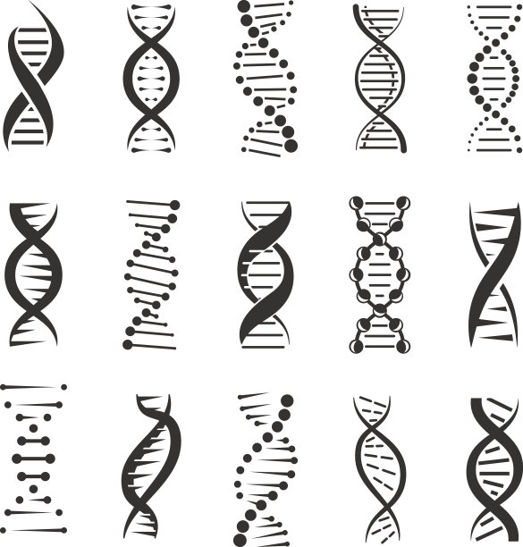 基因分子元素