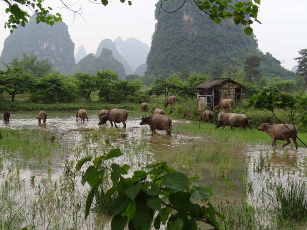 桂林山水