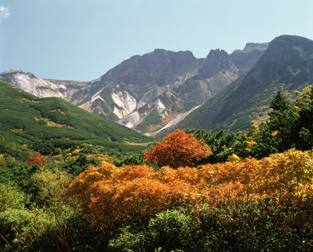 富良野