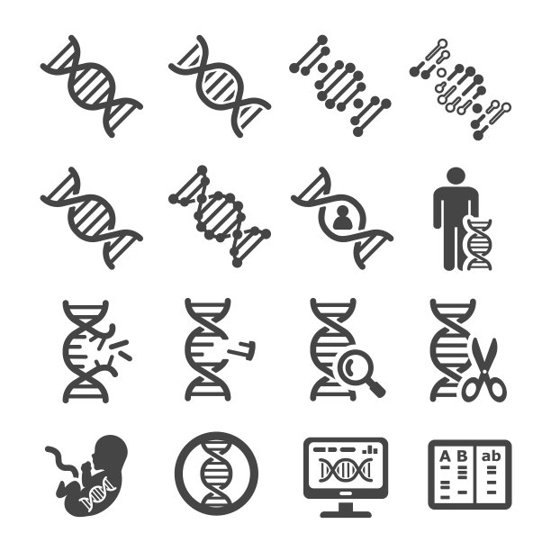 基因分子元素