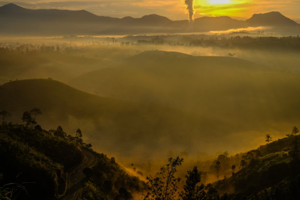 高山云雾绿茶