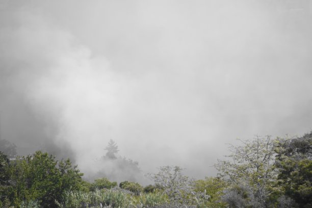 大型篝火晚会