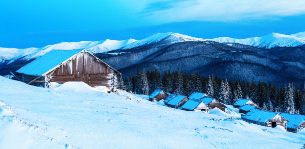 森林大雪木屋树林风景