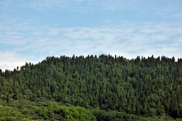 山村景观