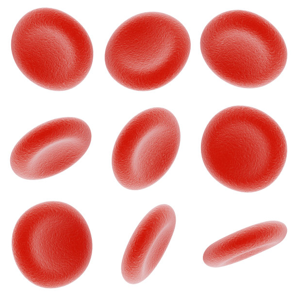 红细胞 血小板