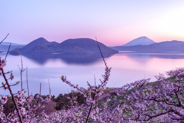 酸梅花