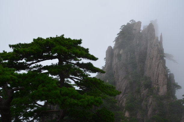 隐居修炼之地