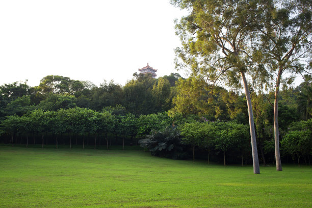 羊城美景