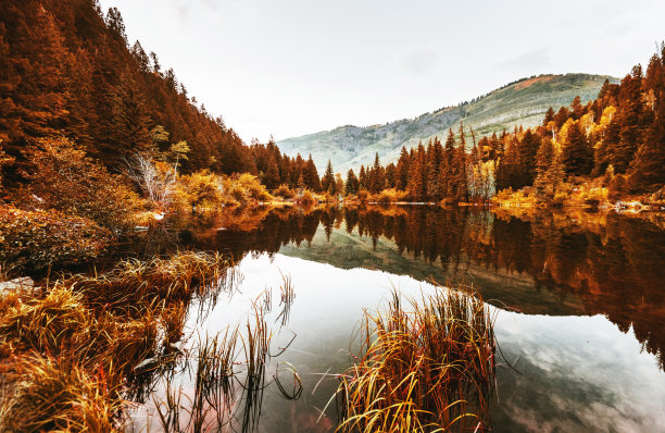 风景区