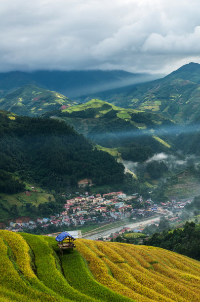 丰收情景