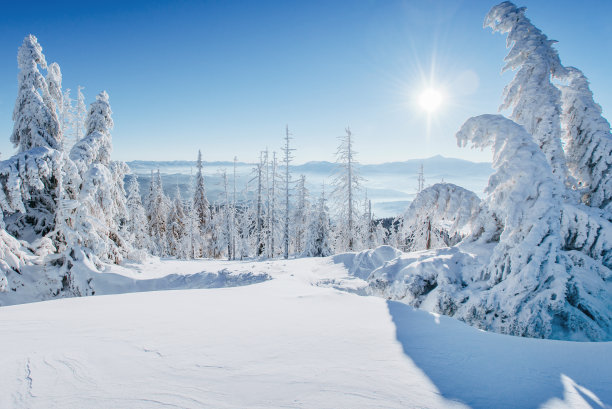 雪景