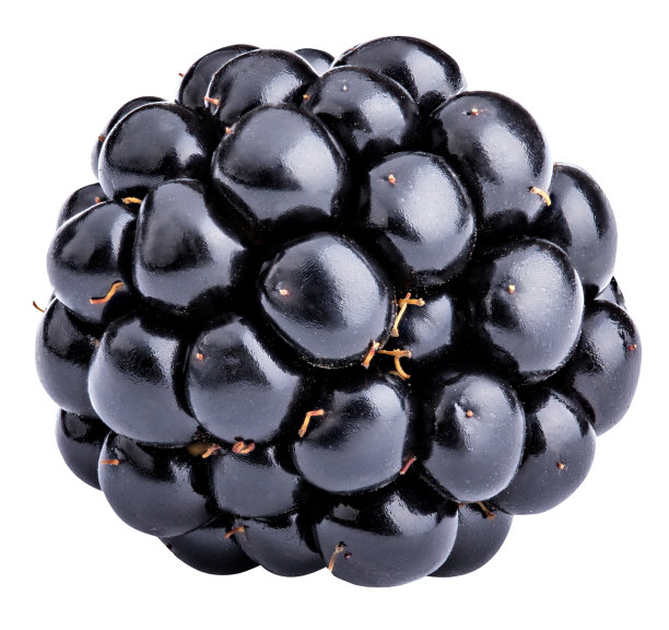 黑刺莓
