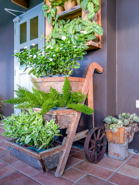 鲜花植物墙