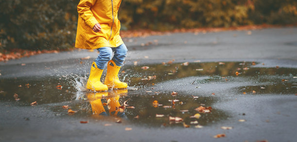 秋雨