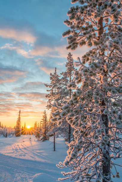 夕阳雪景