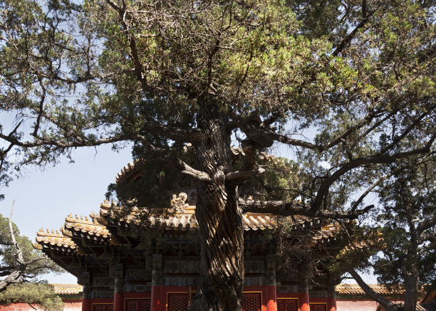 北京故宫建筑全景印象