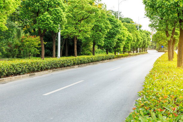 公路 大道 绿化带