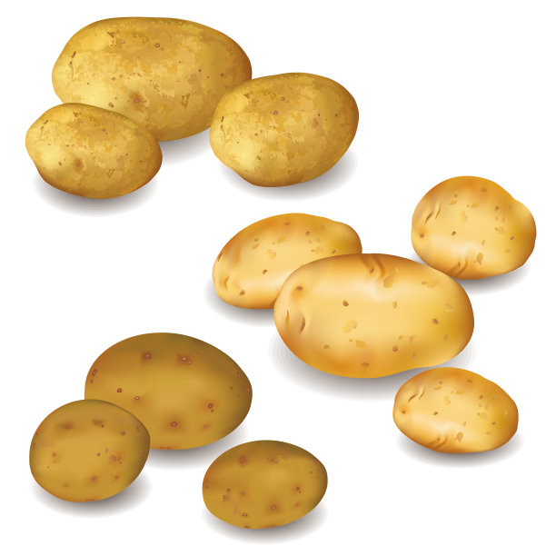 黄褐色马铃薯