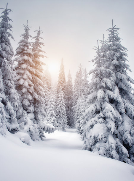 雪景