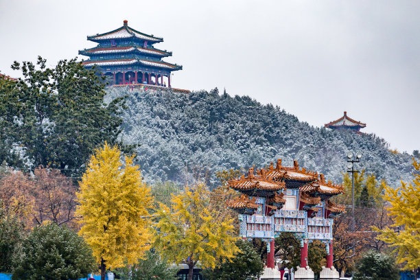 北京故宫雪景