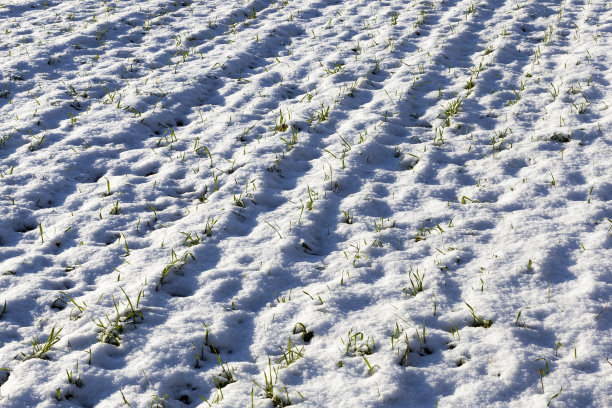 狂风暴雪