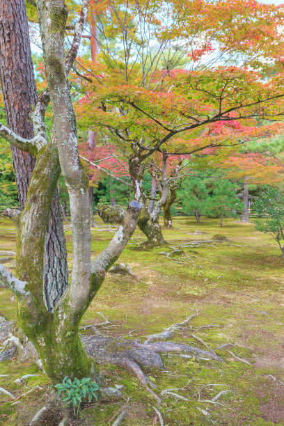 金阁寺