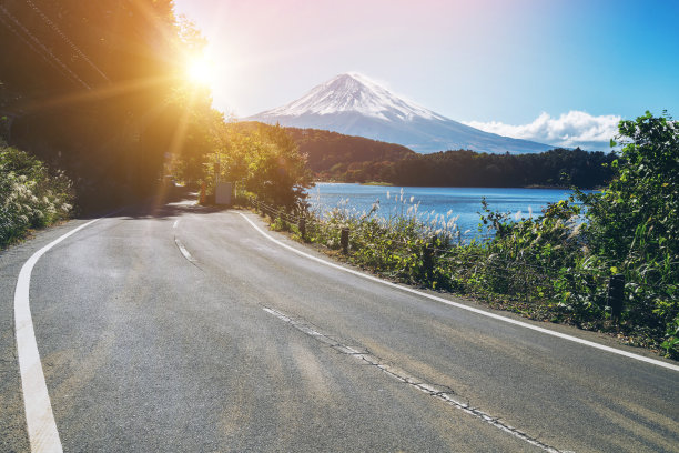 樱花路