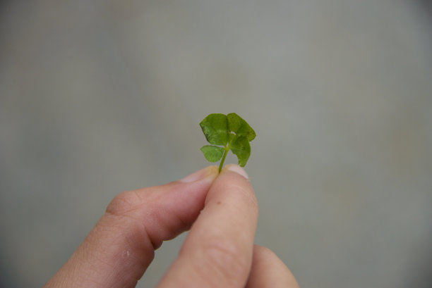 小孩子的护身符