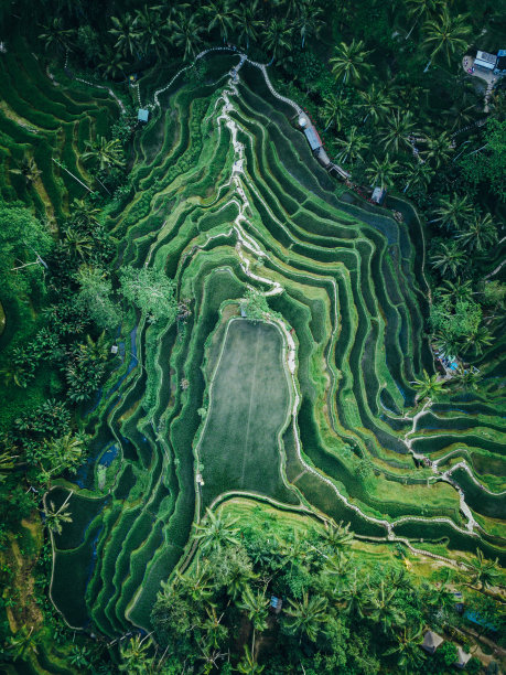 巴厘岛航拍