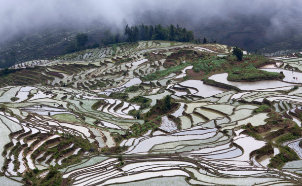 原生态美丽乡村