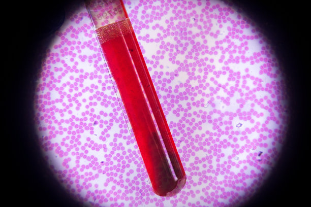 红细胞