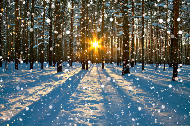 早晨大雪