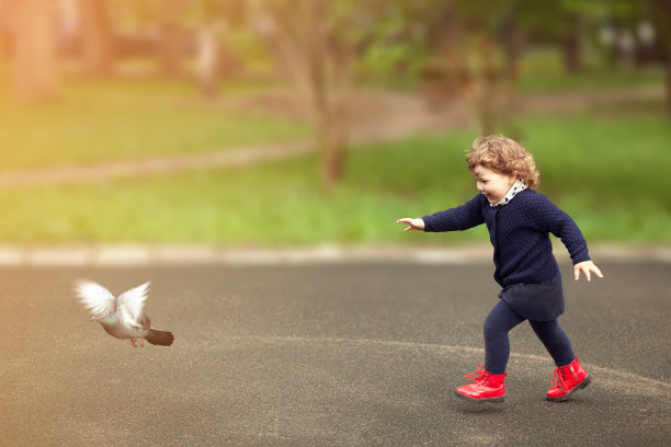 鸽子与小女孩
