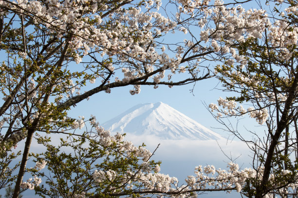 山梨县镇