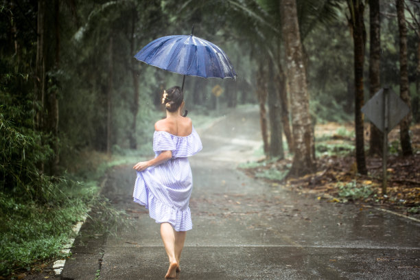 动感树叶 雨伞