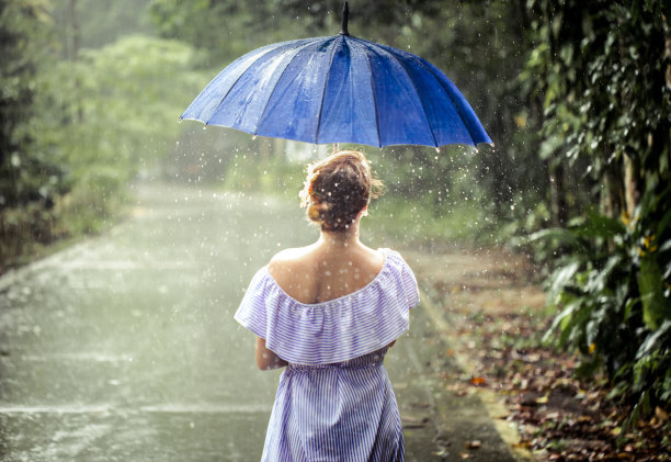 动感树叶 雨伞