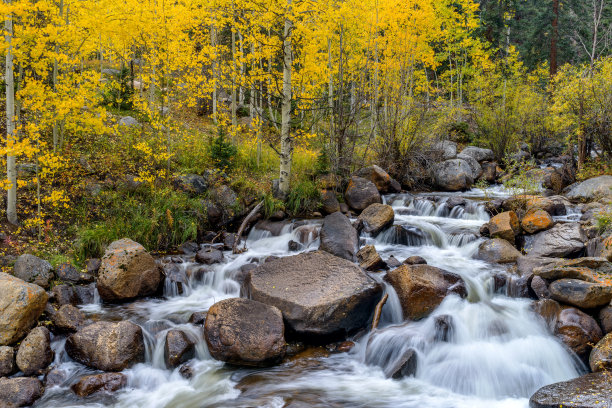 aspen