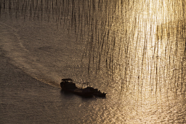 在阳光下的大海中航行的渔船
