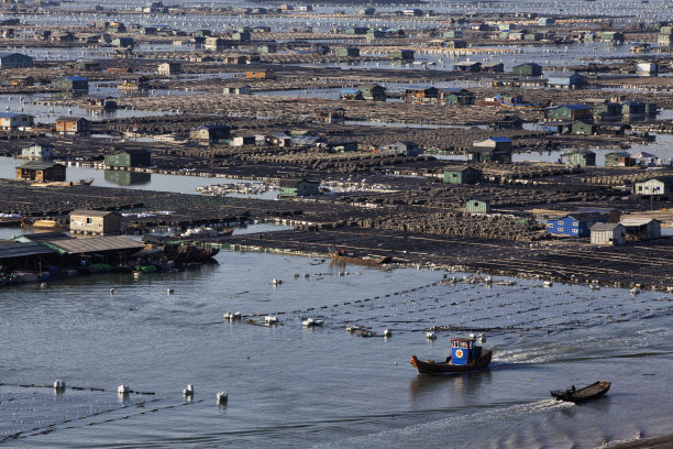 福建霞浦滩涂