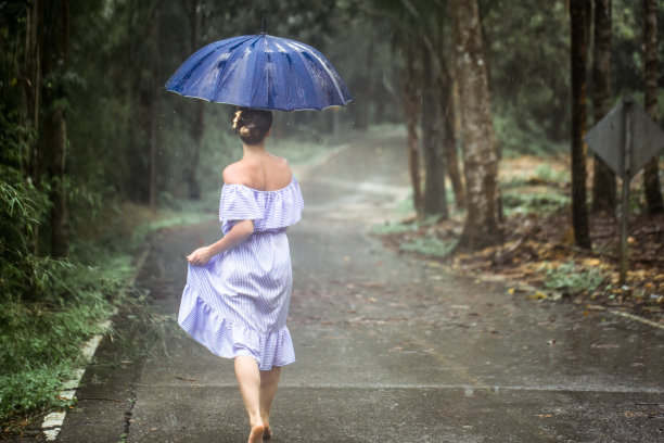 动感树叶 雨伞