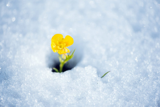 冰雪融化