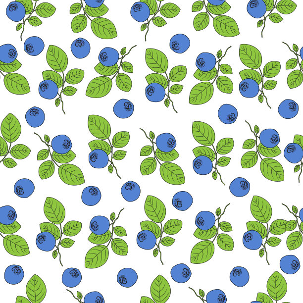 蓝莓插图