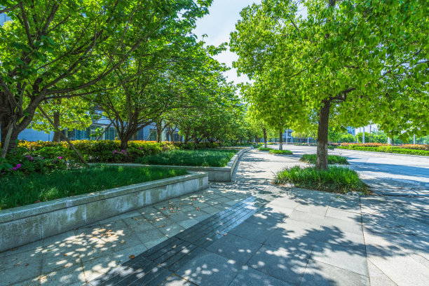 上海城市公园风景