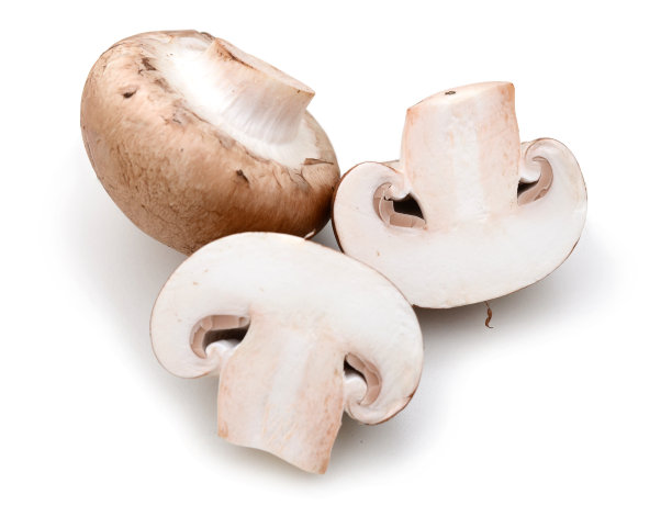 蘑菇食用菌