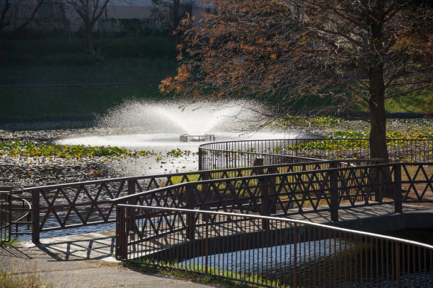 银杏广场水池喷泉