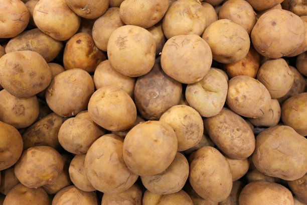 土豆批发市场