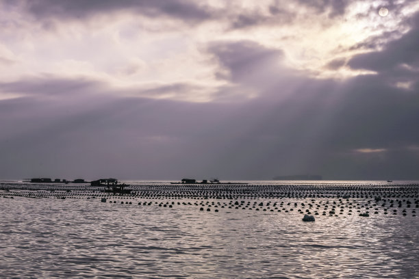 深圳海景