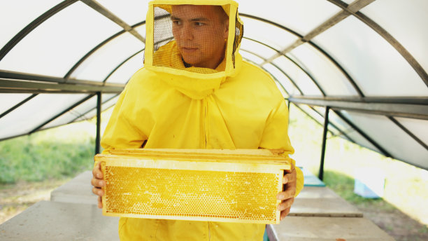 农家蜂蜜