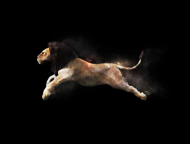 奔跑的狮子