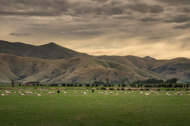 wanaka